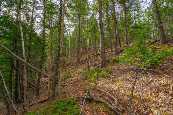 $15,000 | 130 Grey Eagle Way, Cripple Creek, CO 80813