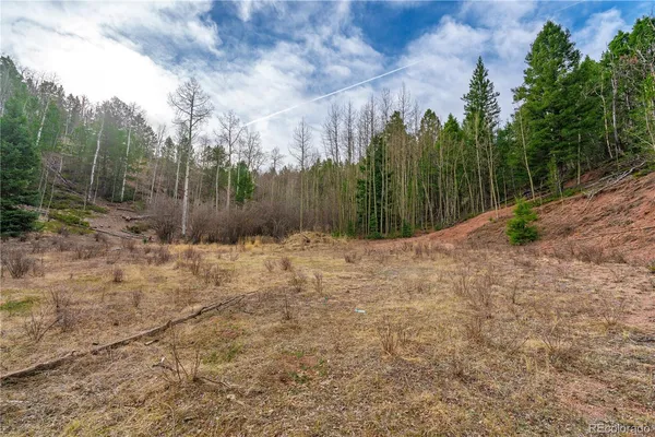 $15,000 | 130 Grey Eagle Way, Cripple Creek, CO 80813