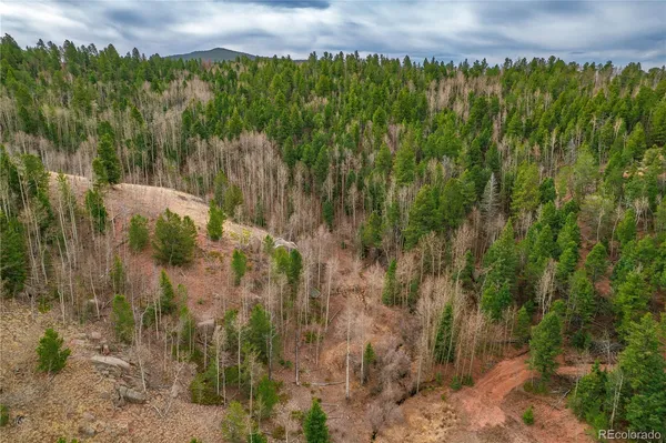 $15,000 | 130 Grey Eagle Way, Cripple Creek, CO 80813