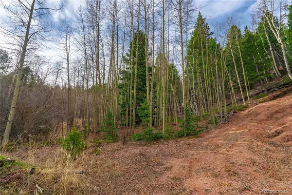 $15,000 | 130 Grey Eagle Way, Cripple Creek, CO 80813