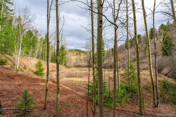 $15,000 | 130 Grey Eagle Way, Cripple Creek, CO 80813