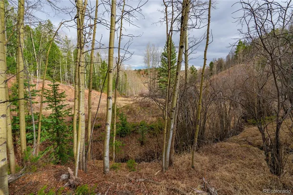 $15,000 | 130 Grey Eagle Way, Cripple Creek, CO 80813