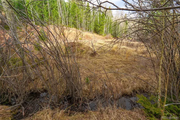 $15,000 | 130 Grey Eagle Way, Cripple Creek, CO 80813