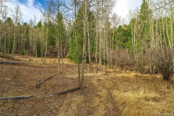 $15,000 | 130 Grey Eagle Way, Cripple Creek, CO 80813