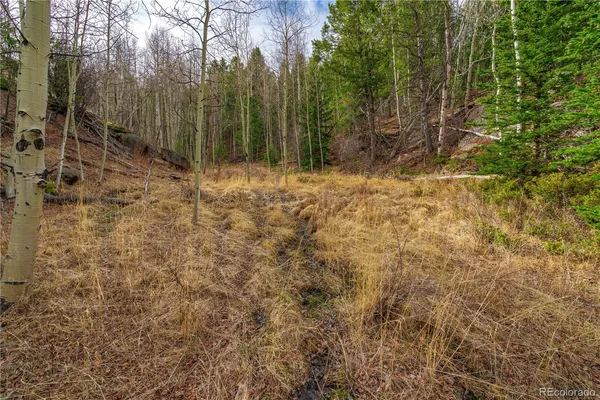 $15,000 | 130 Grey Eagle Way, Cripple Creek, CO 80813