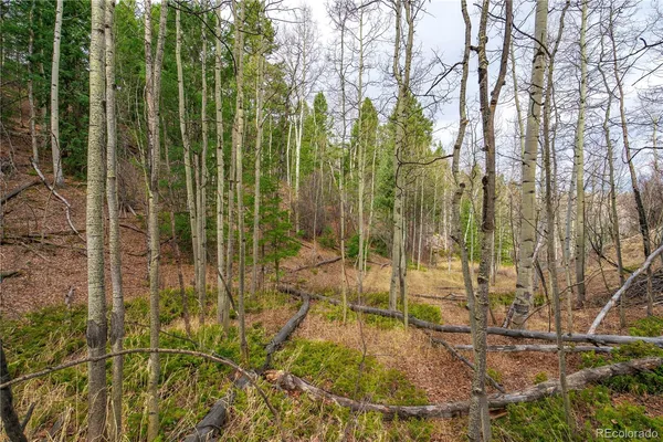 $15,000 | 130 Grey Eagle Way, Cripple Creek, CO 80813