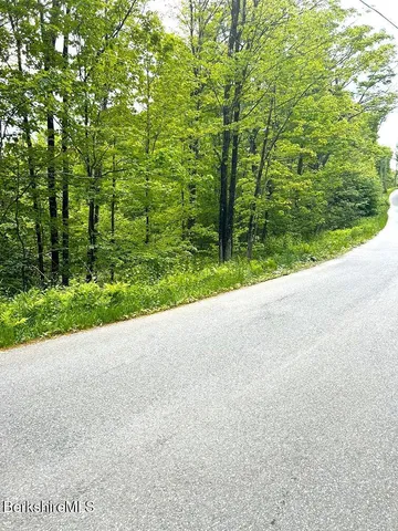 a view of a road with plants and large trees