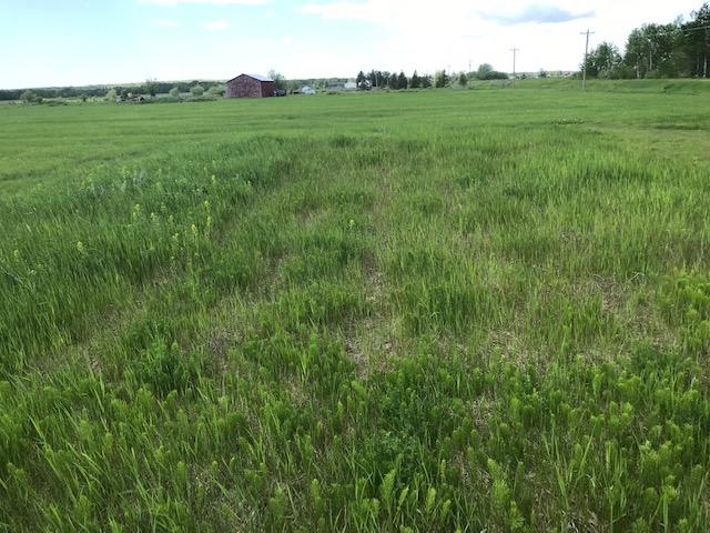 40-ac Blair Road Pickford, MI 49774 - Photo 5 of 7 Gallery Image 5