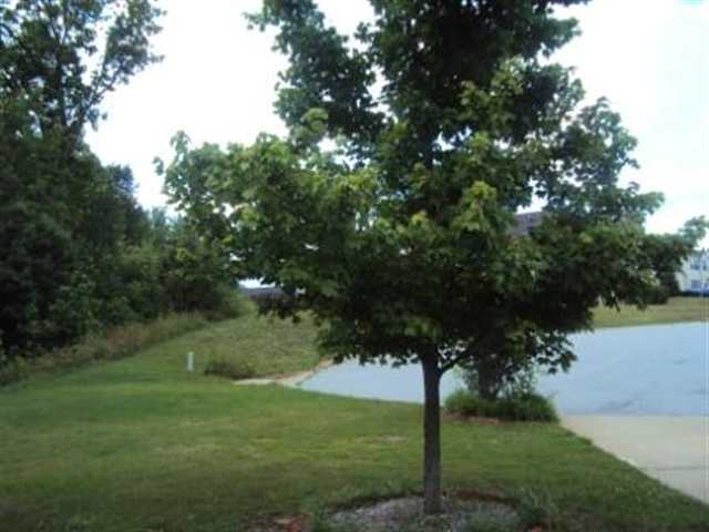 7 Mango Court Mauldin, SC 29662 - Photo 25 of 25 Gallery Image 25
