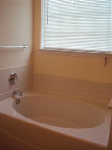 7 Mango Court Mauldin, SC 29662 - Photo 10 of 25 Gallery Image 10