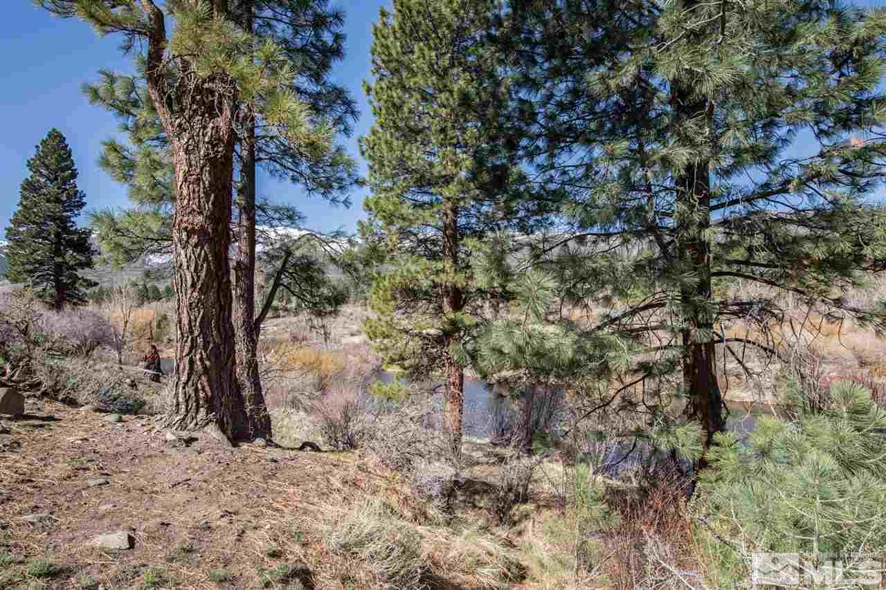 345 Prickly Pear Road Verdi, NV 89439 - Photo 26 of 26 a view of a tree in a yard