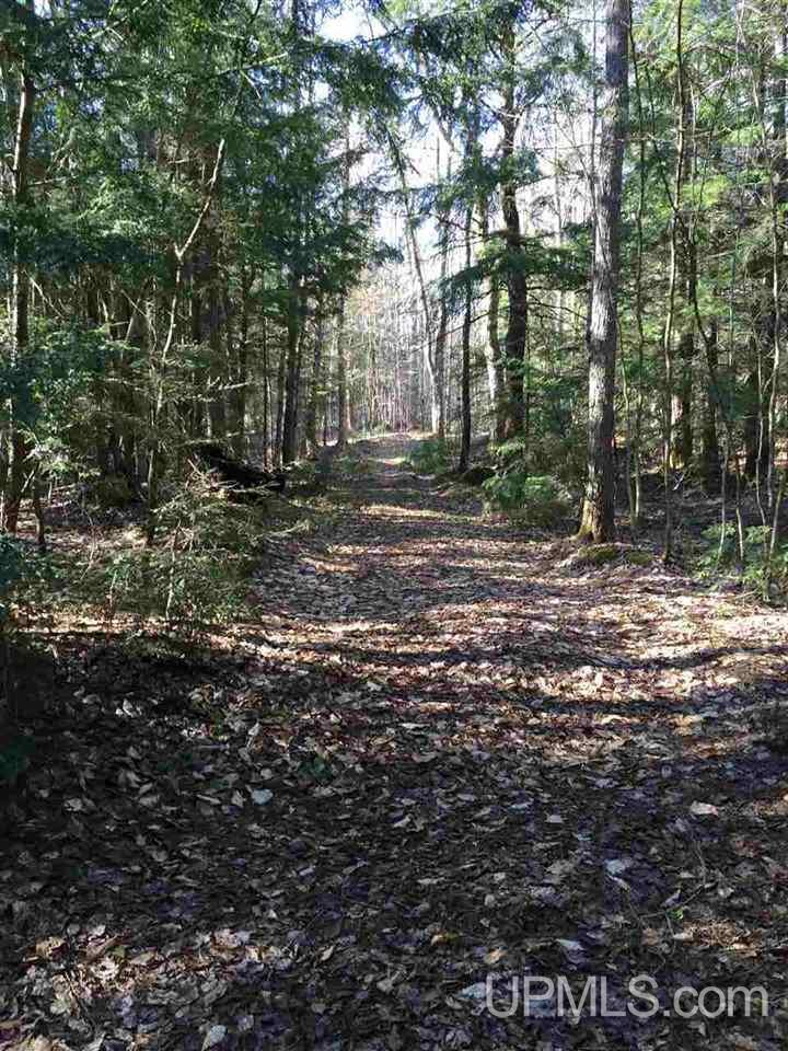 N6991 Olson Road Shingleton, MI 49884 - Photo 33 of 36