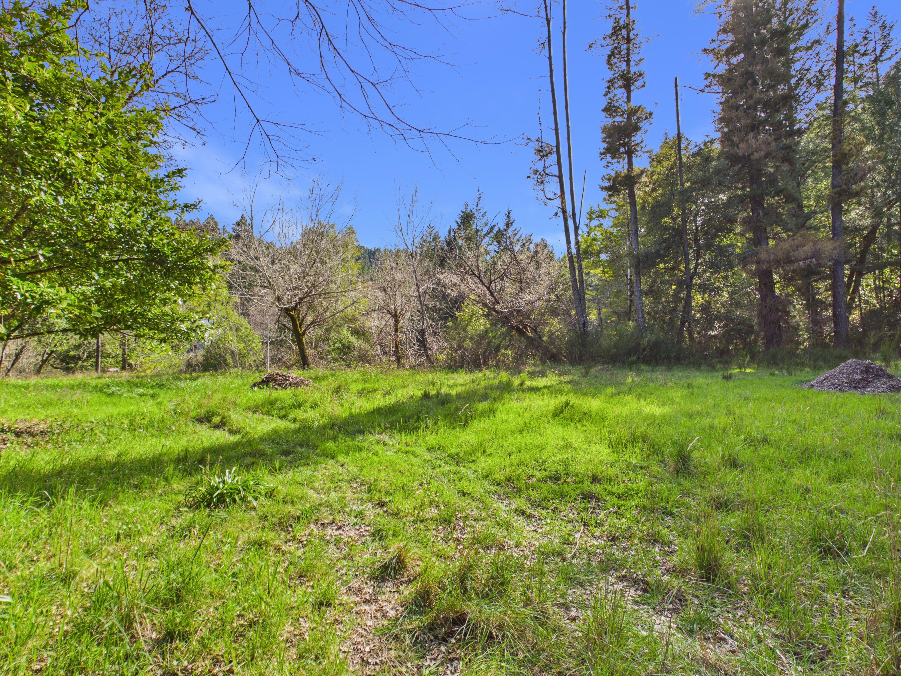 5350 Briceland Road Redway, CA 95560 - Photo 41 of 44