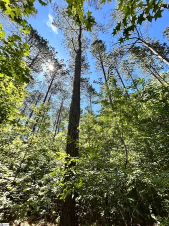 $215,000 | 13 Sc - 413 Highway, Anderson, SC 29621