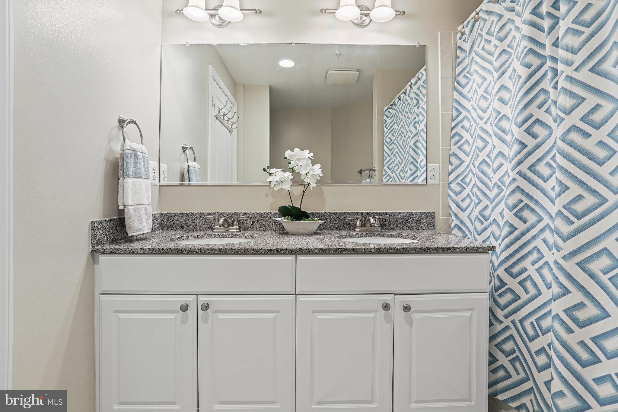 3600 South Glebe Road, Unit 510W Arlington, VA 22202 - Photo 18 of 55 Gallery Image 18