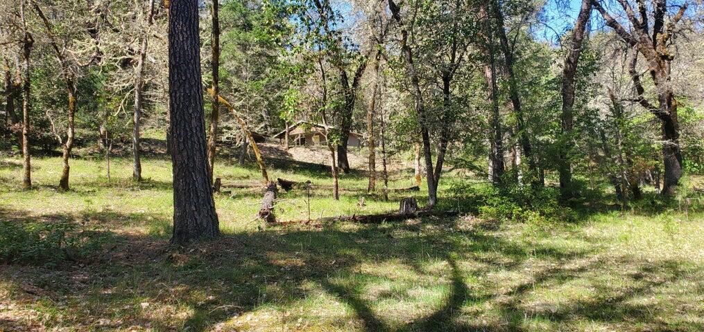 11238 East Evans Creek Road Rogue River, OR 97537 - Photo 17 of 29 a view of a yard with plants