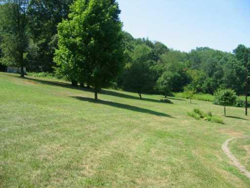 1261 Ridge Road Vandergrift, PA 15690 - Photo 8 of 8 Yard/Garden.