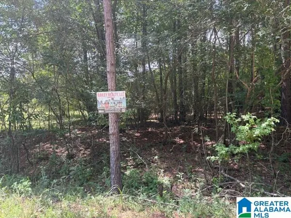 $38,500 | 0 Hidden Lake Drive, Unit 23, Jasper, AL 35503