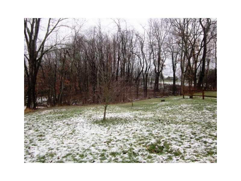 110 Burke Street Rices Landing, PA 15357 - Photo 13 of 14 Land. Level lot, almost half an acre!