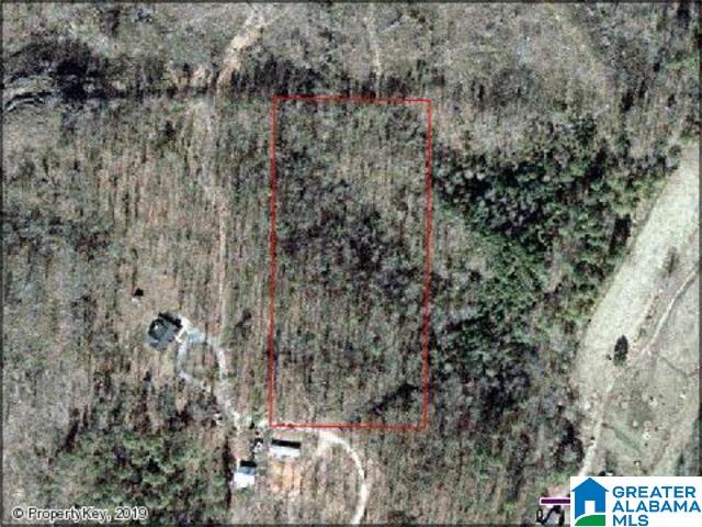 8791 Brasher Road Pinson, AL 35126 - Photo 6 of 6