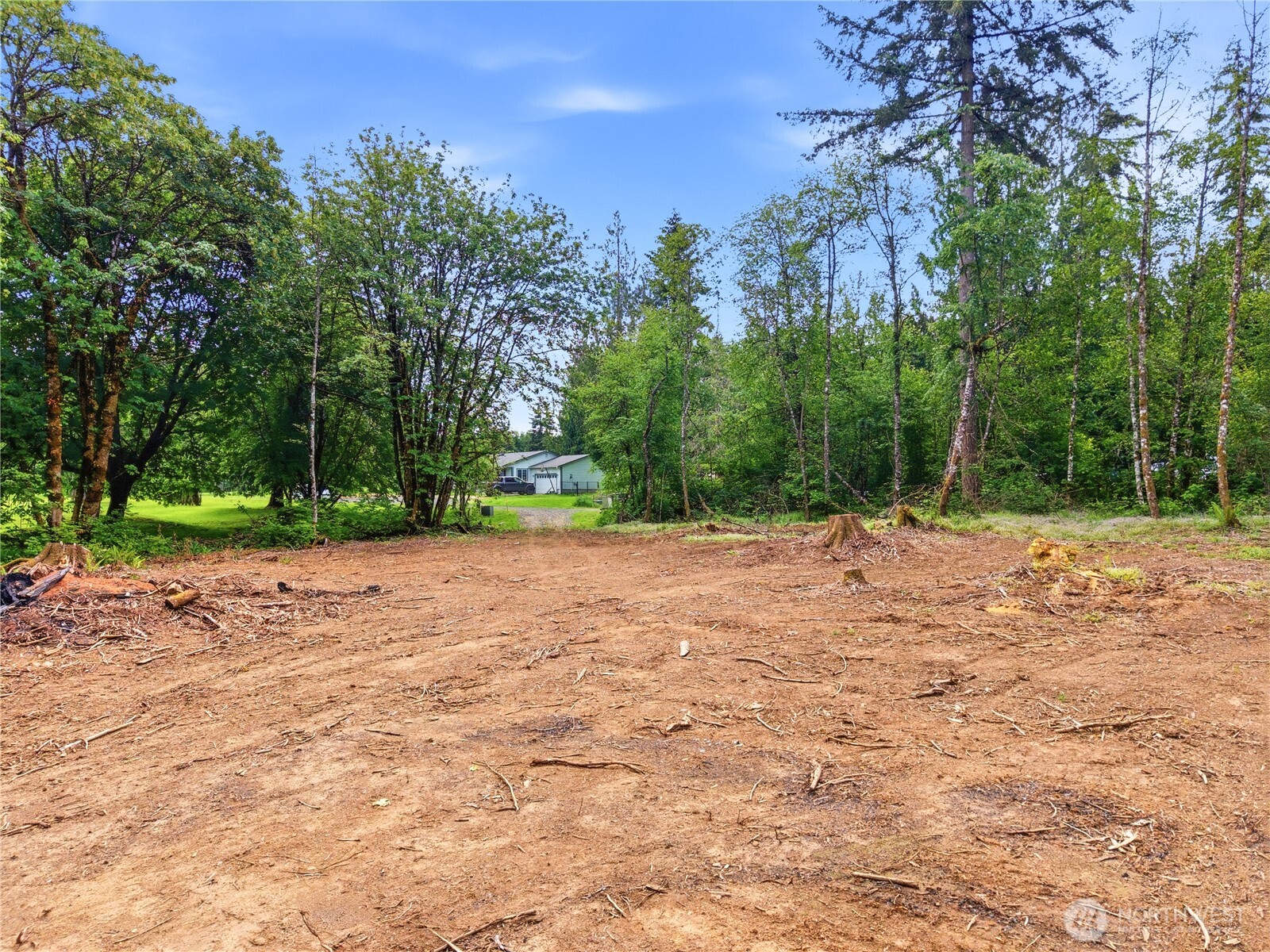 210 Vermillion Road Chehalis, WA 98532 - Photo 6 of 18 a view of a yard with a tree