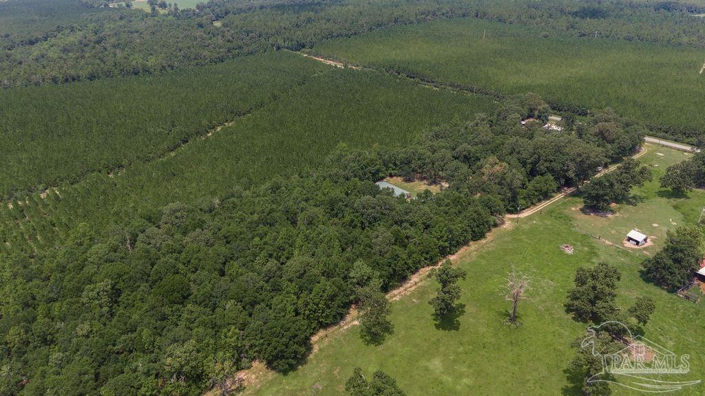 3101 Breastworks Road McDavid, FL 32568 - Photo 39 of 42 Gallery Image 39