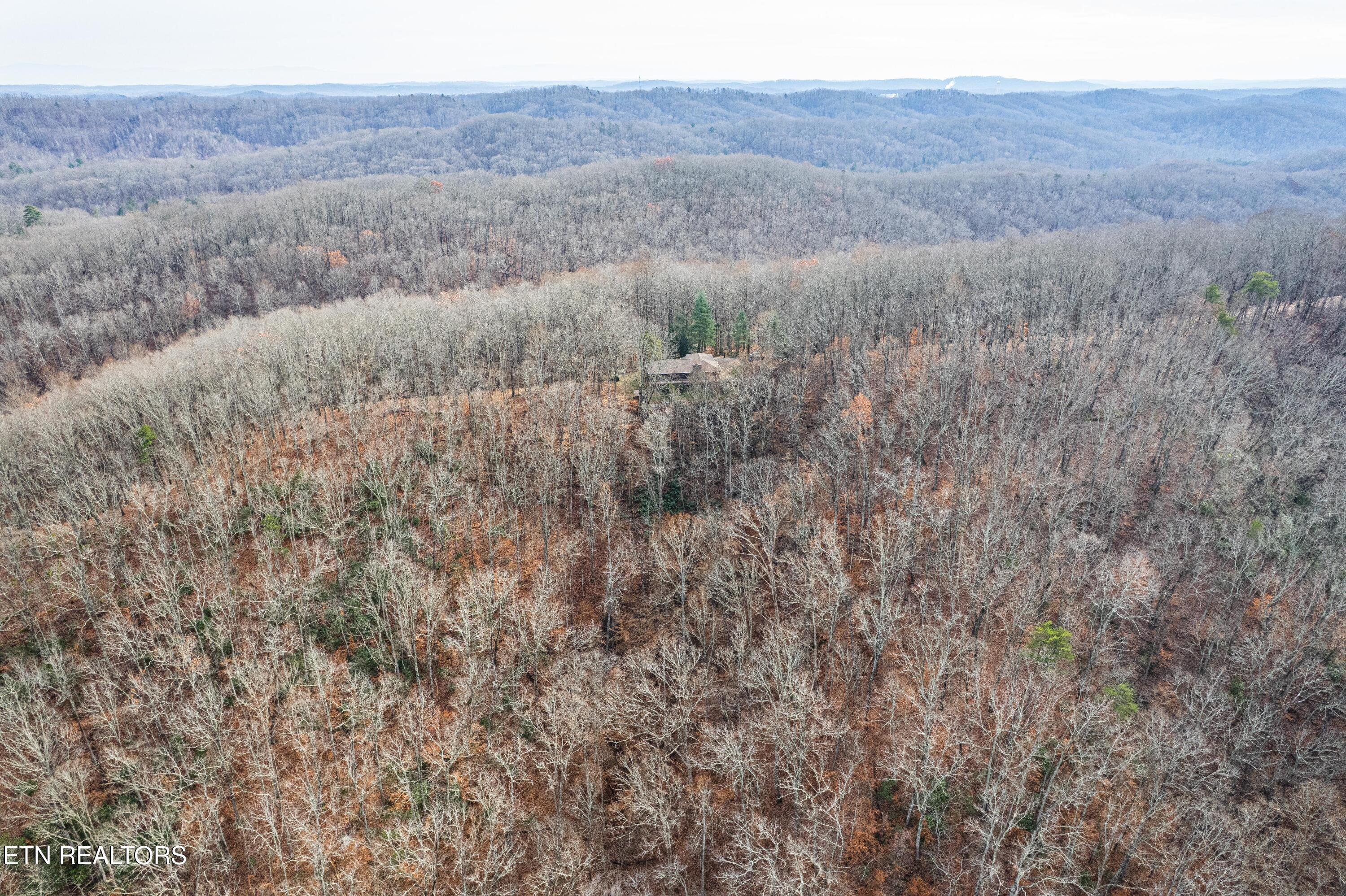 1005 Tuskegee Drive Oak Ridge, TN 37830 - Photo 34 of 38 DJI_0802