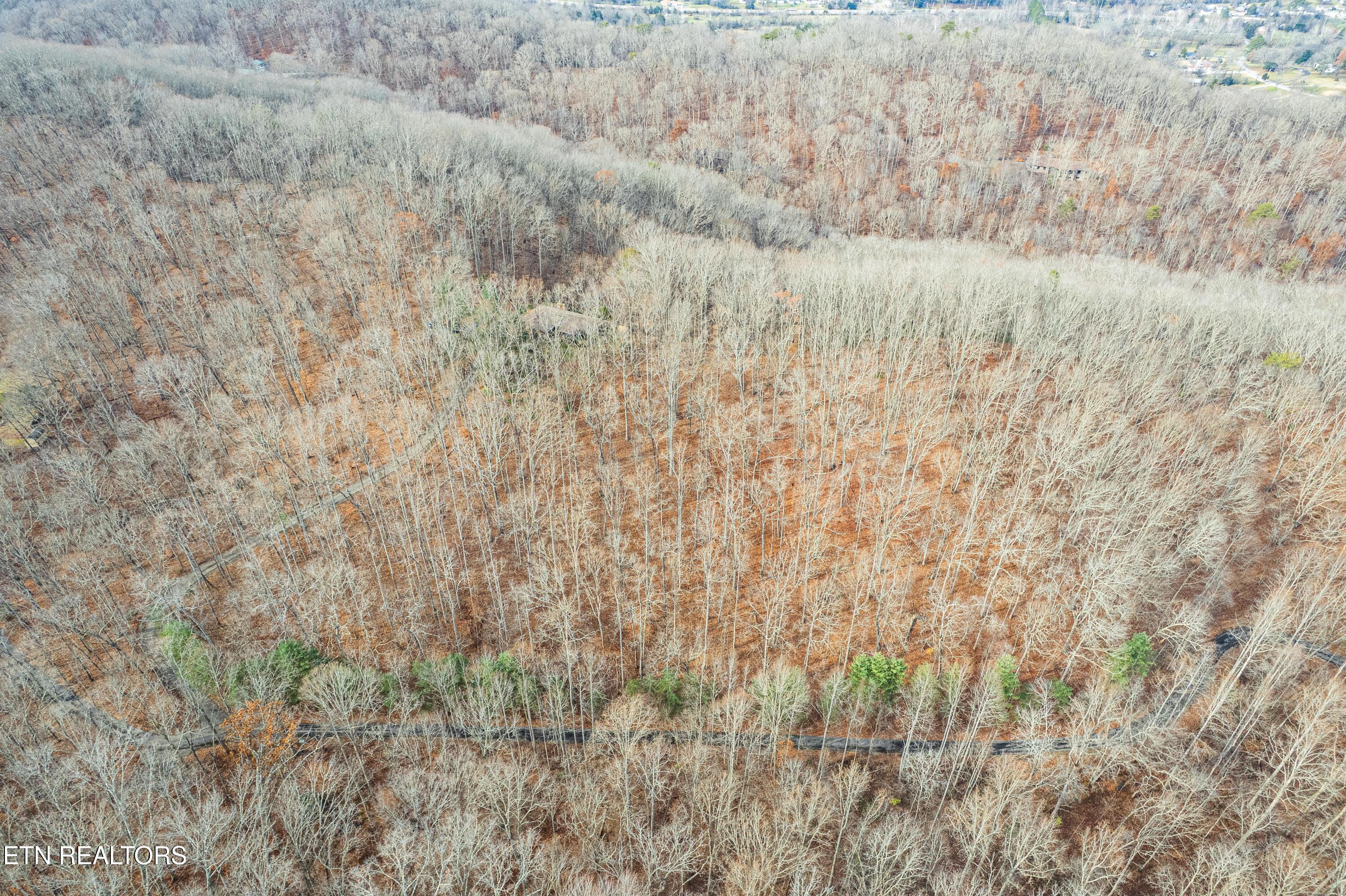 1005 Tuskegee Drive Oak Ridge, TN 37830 - Photo 36 of 38 DJI_0808