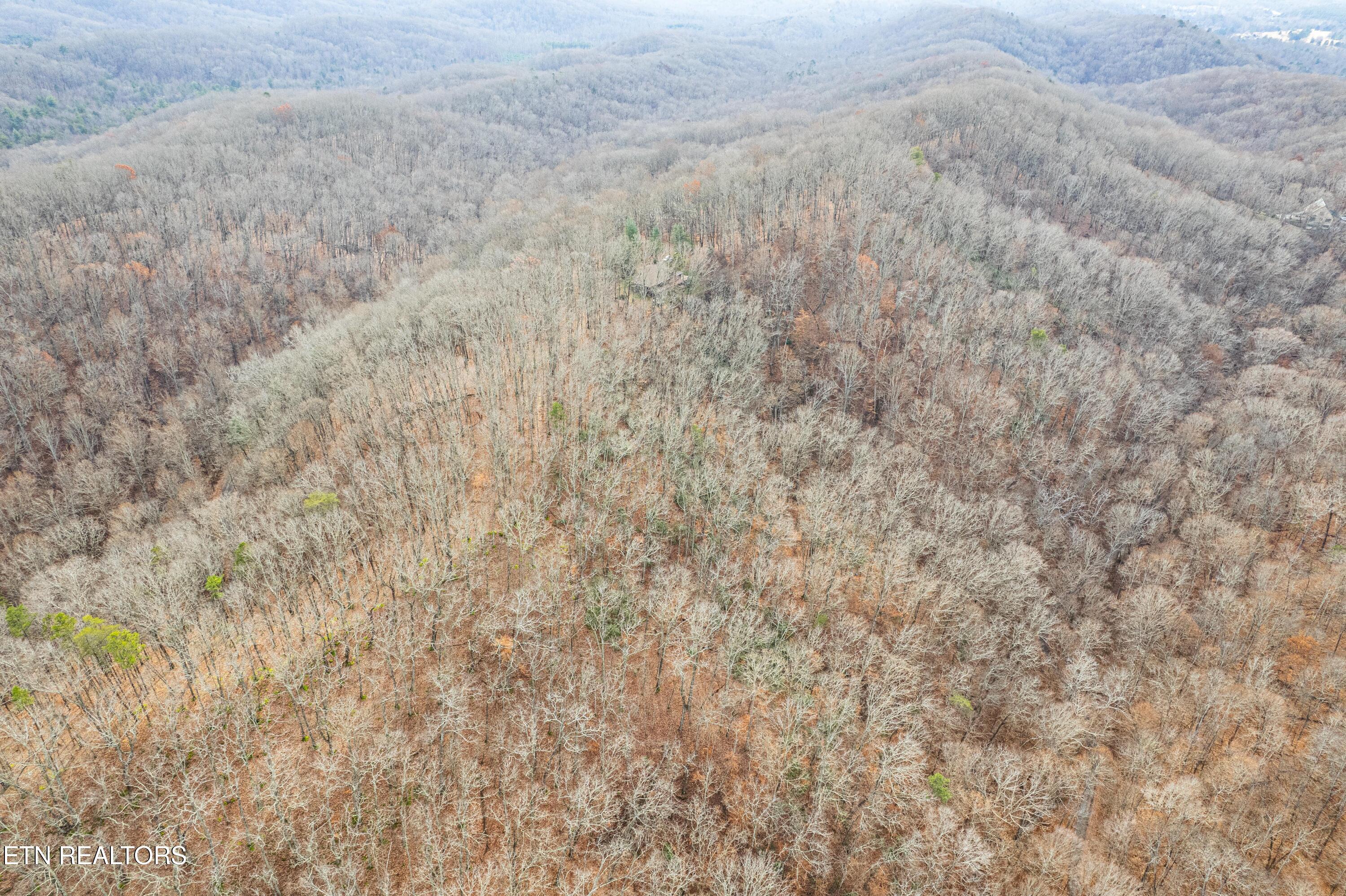 1005 Tuskegee Drive Oak Ridge, TN 37830 - Photo 37 of 38 DJI_0813