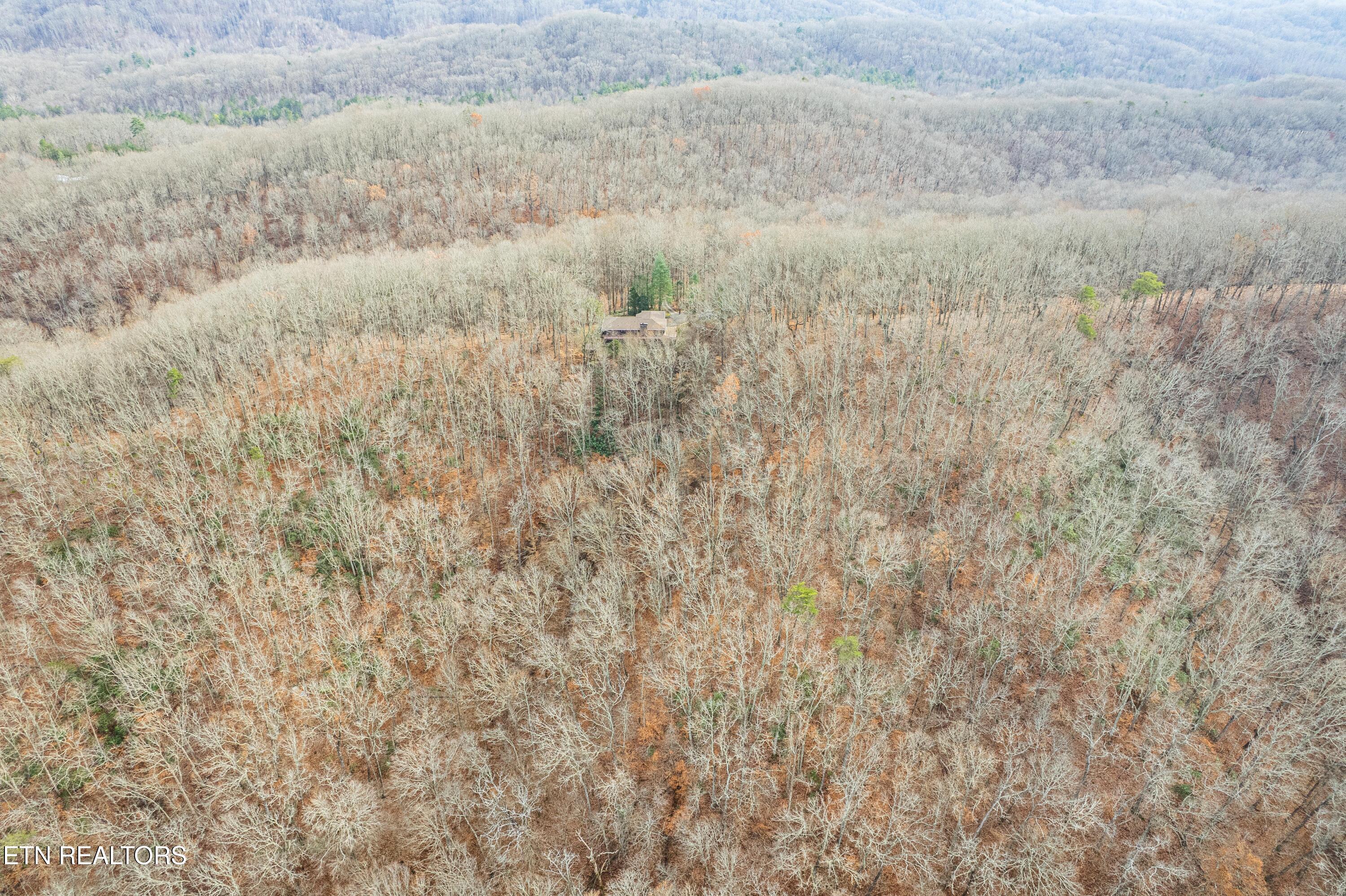 1005 Tuskegee Drive Oak Ridge, TN 37830 - Photo 38 of 38 DJI_0818