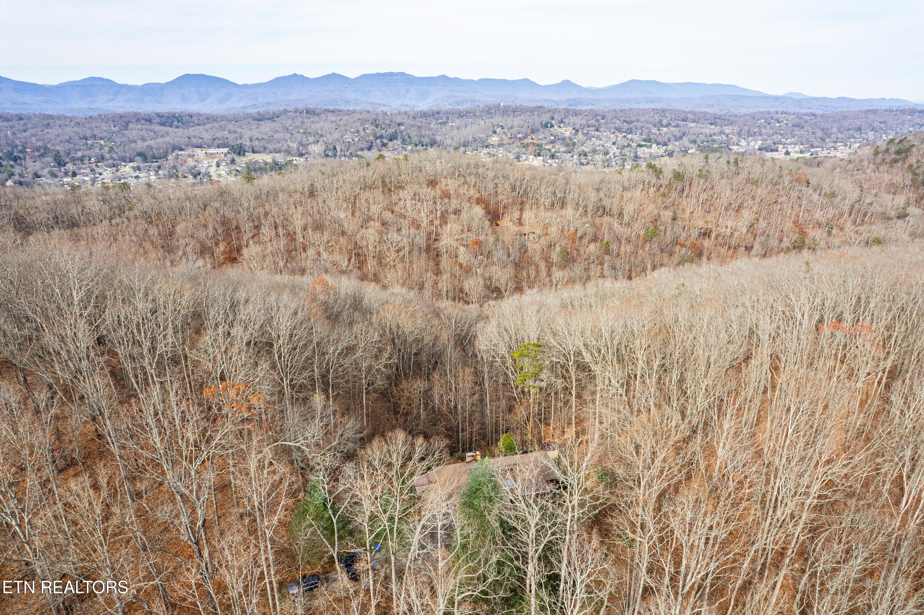 1005 Tuskegee Drive Oak Ridge, TN 37830 - Photo 5 of 38 DJI_0783