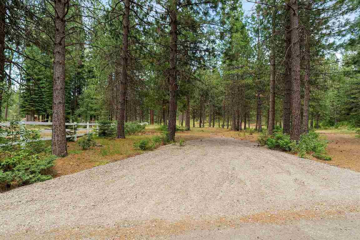 Lot D Timber Country Ranch Road McCloud, CA 96067 - Photo 12 of 16 Gallery Image 12