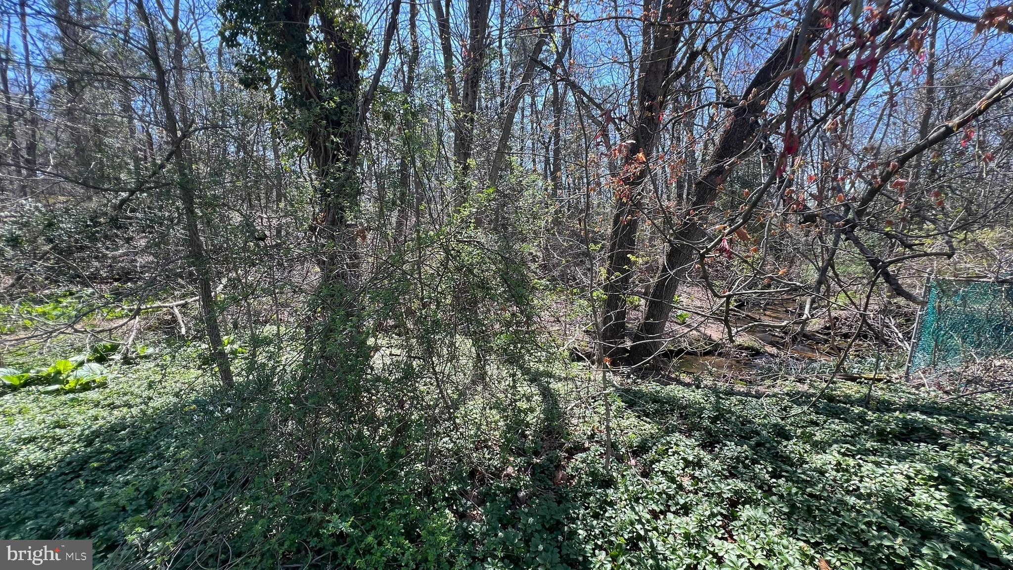 145 New Freedom Road Clementon, NJ 08021 - Photo 29 of 30 Gallery Image 29