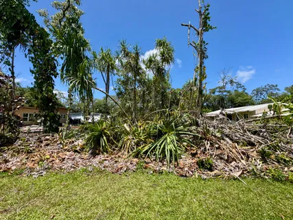 a view of a yard with a tree