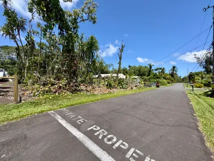 a view of a street with flower plants