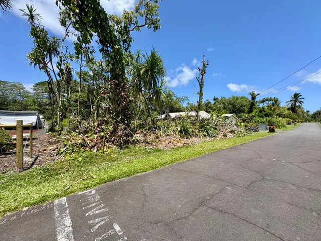 a view of a garden with a bench