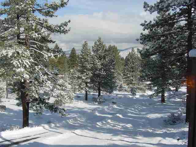 1105 Austrian Pine Road Reno, NV 89511 - Photo 8 of 9 Photo 8