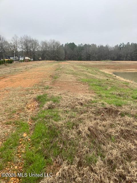 1127 Breedlove Road Michigan City, MS 38647 - Photo 8 of 10 IMG_2204
