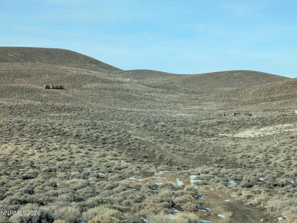 a view of a dry field covered with trees