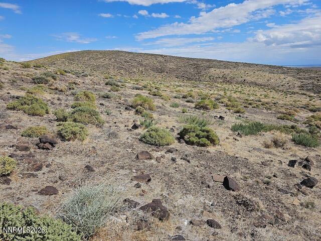 0 East Gas Line Road Fernley, NV 89408 - Photo 9 of 14 a view of a dry yard with mountains in the background
