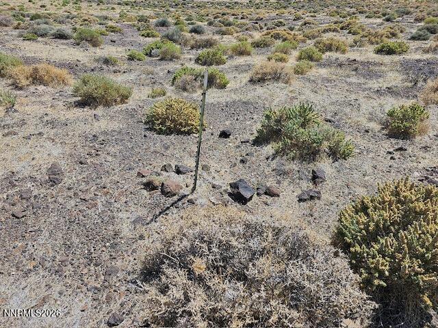 0 East Gas Line Road Fernley, NV 89408 - Photo 10 of 14 a view of a dry field covered with trees