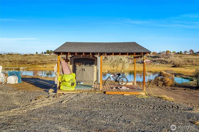 a view of a large tree with a yard