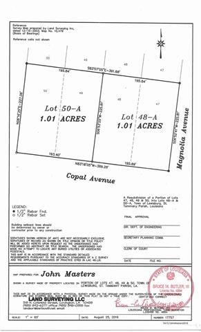 0 Copal Street Mandeville, LA 70448 - Photo 3 of 3