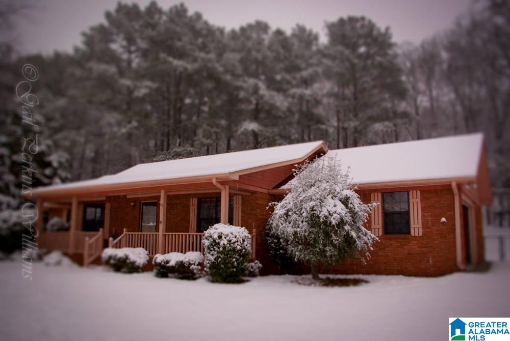 89 Hendrix Street Oneonta, AL 35121 - Photo 50 of 50