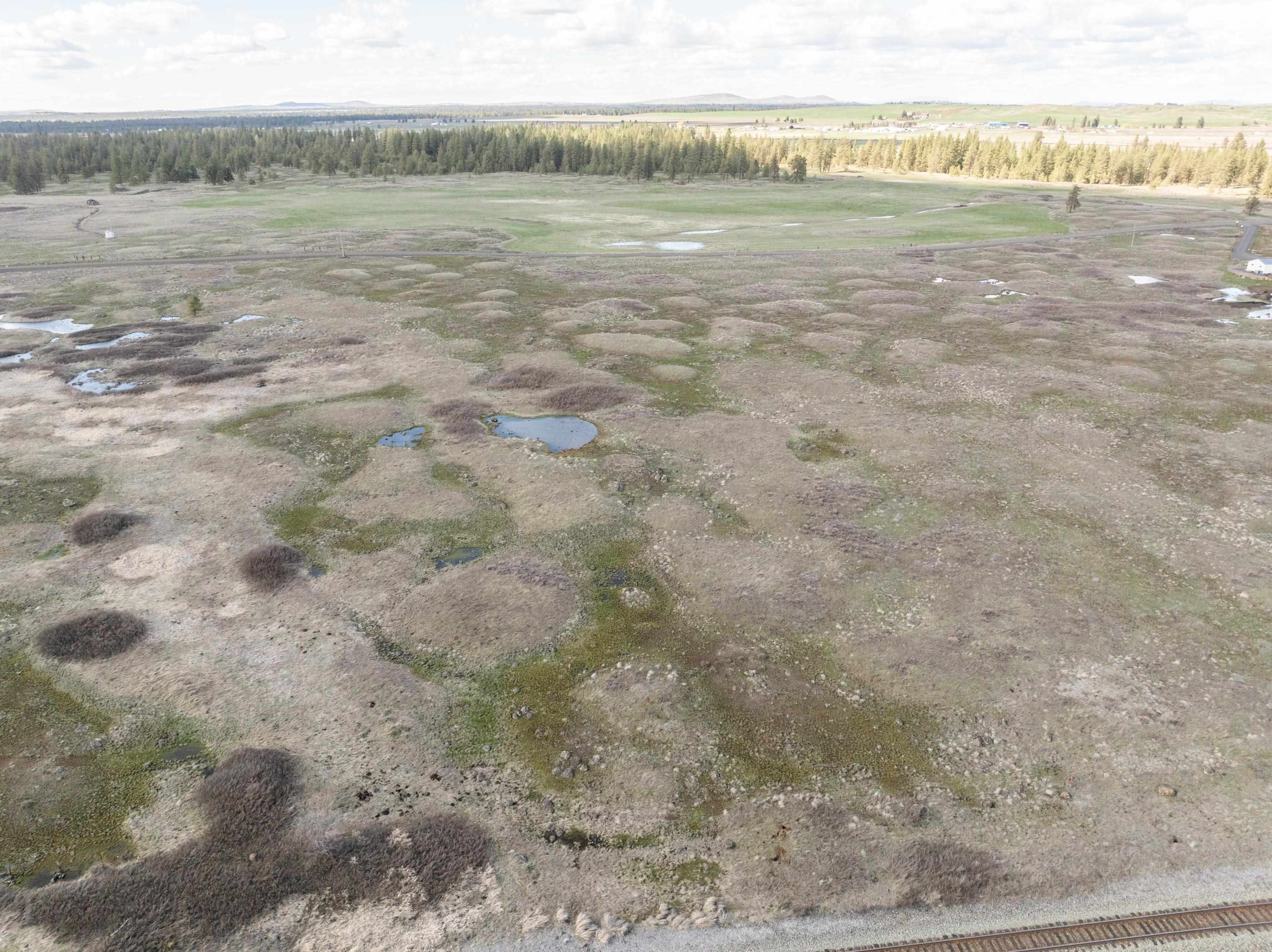 16-xxx West Lance Hill Road, Unit PARCEL B Cheney, WA 99004 - Photo 10 of 11