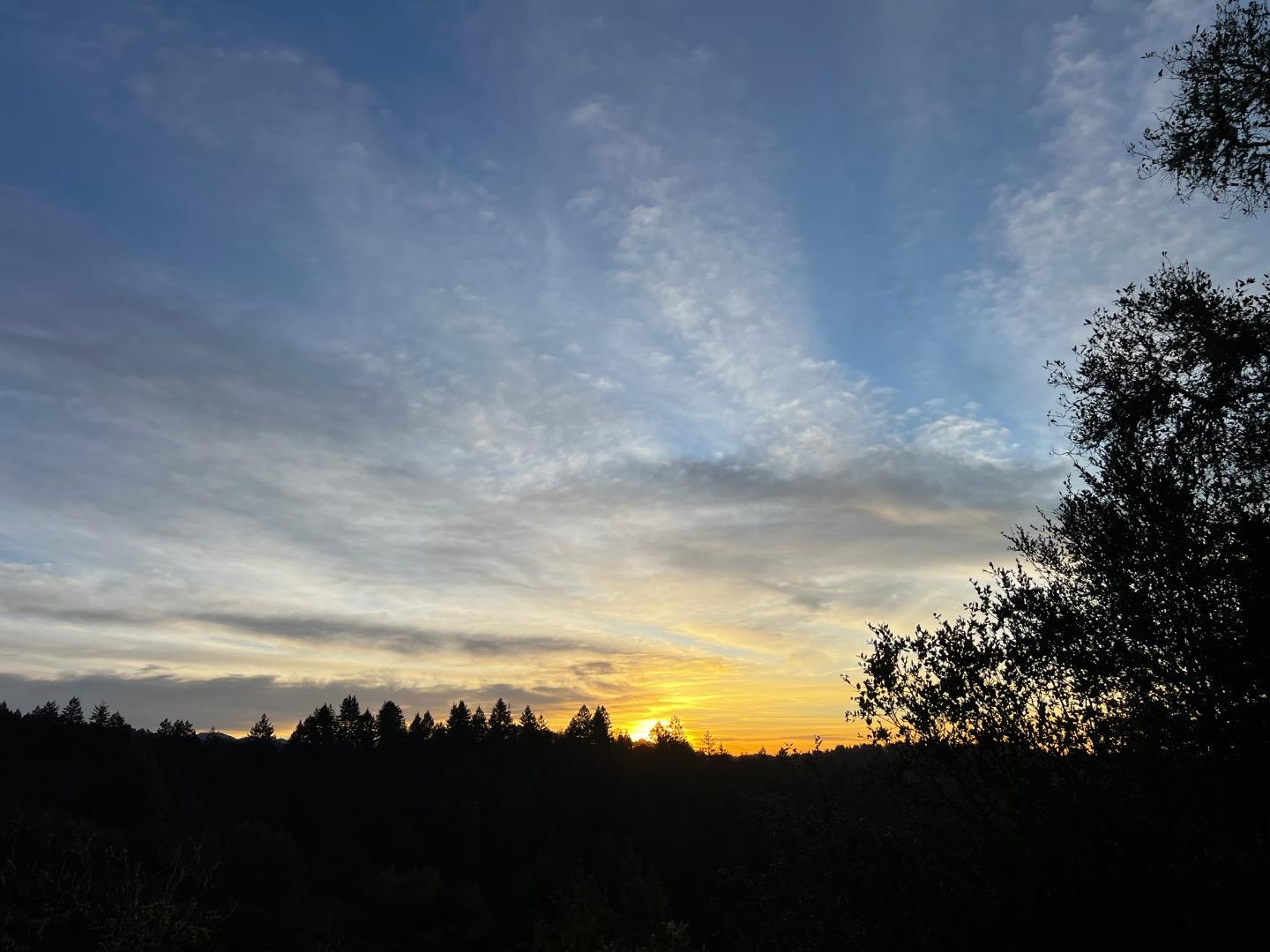 2500 Nelson Road Scotts Valley, CA 95066 - Photo 68 of 77 a view of a bunch of trees in a field