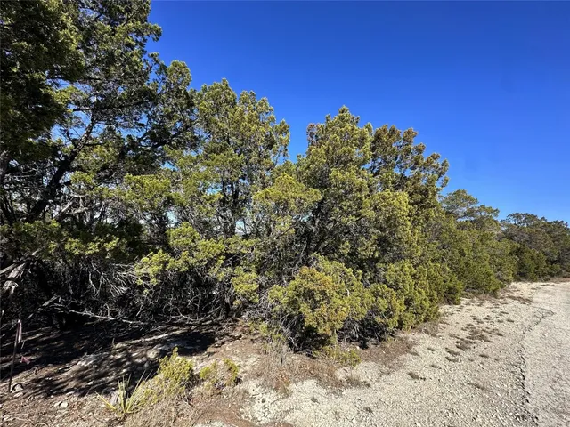 a view of a yard with plants and trees