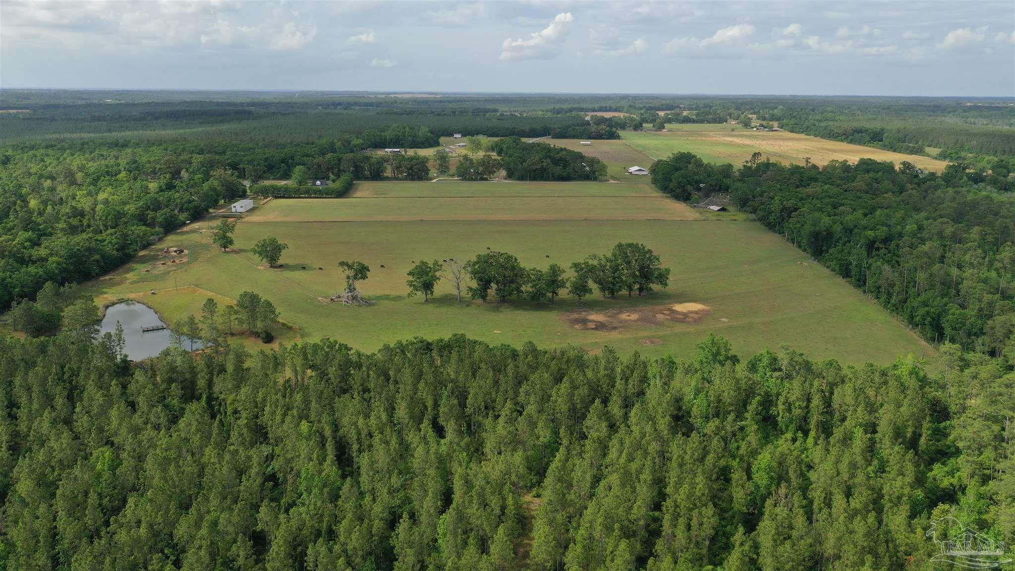 Lot 4 Hall Road Jay, FL 32565 - Photo 3 of 4