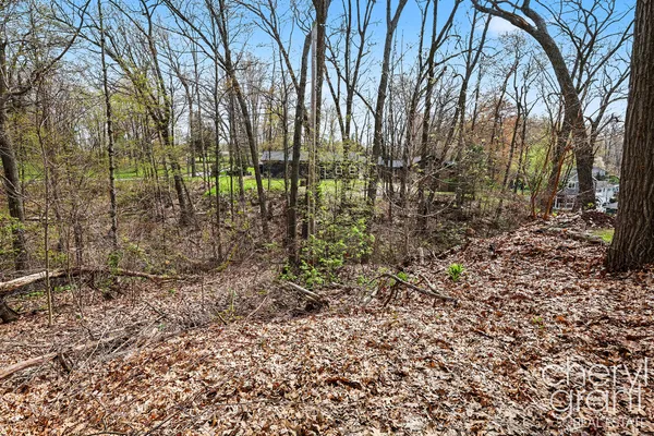 $100,000 | 7406 Ravine Drive Northeast, Belding, MI 48809