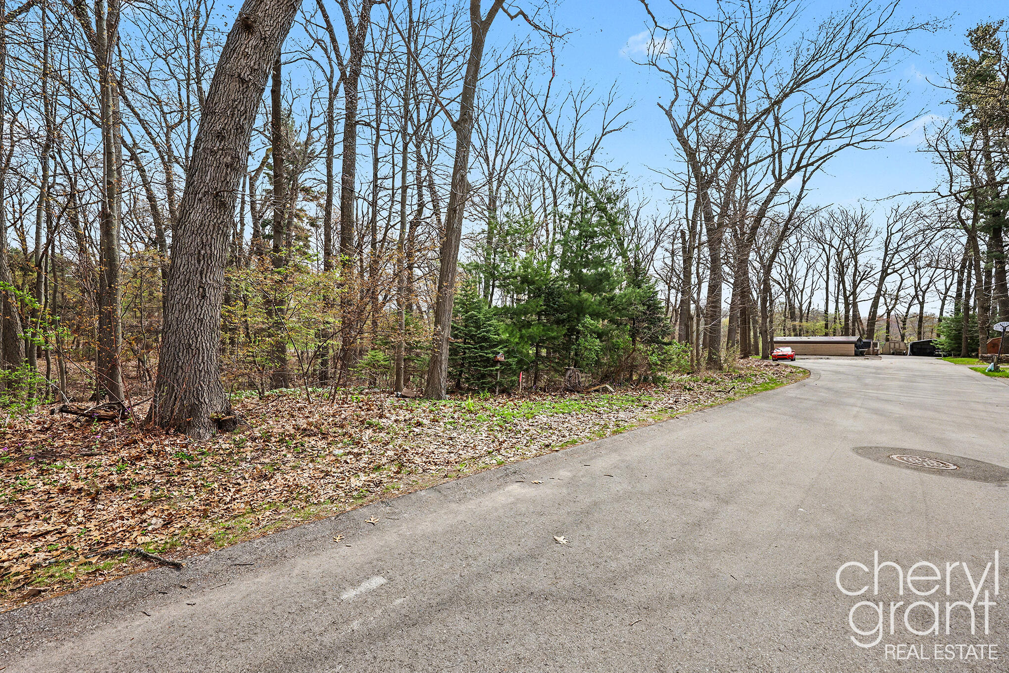 7406 Ravine Drive Northeast Belding, MI 48809 - Photo 2 of 18 Lot